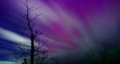 Липчане смогут увидеть северное сияние из-за магнитных бурь