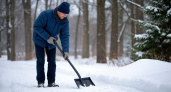 Спина скажет спасибо: почему умные хозяева больше не гребут снег вручную