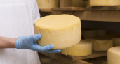 «Продукт, который нельзя назвать сыром»: Роскачество представило рейтинг сыров с неожиданными результатами