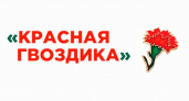 В Липецкой области стартовала всероссийская благотворительная акция «Красная гвоздика»