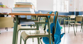 Дистанционно или очно — липецкие родители выбирают сами