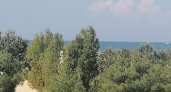 На наш Юг больше не поеду - нашла место получше: теплая вода, не хамят и в 2 раза дешевле, чем в Абхазии
