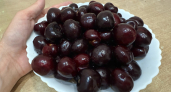 Не черешня и не вишня — вкуснее и ароматнее: плоды слаще меда и дерево растет без лишних хлопот 