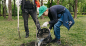 Липецкие волонтёры облагородят скалы Каменного лога