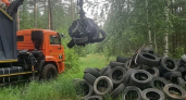 Незаконную свалку шин ликвидировали в городском лесу Липецка