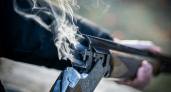 Липчанин открыл стрельбу в автобусе и получил условный срок