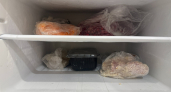 Как быстро счистить ледяную корку из морозильной камеры: 3 проверенных способа