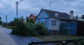 Ураган в Задонске повалил деревья на проезжую часть