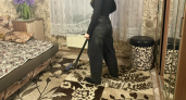 Откажитесь от этой привычки: почему мыть пол раз в неделю — плохая идея