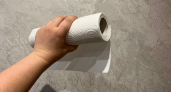 Бумажные полотенца не только для уборки: 5 способов, о которых вы не догадывались