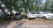 Липецкие водители губят газоны ради тени под тополями