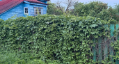 Столбы перестанут гнить у земли: 3 шага, которые помогают сохранить деревянный забор на 50+ лет