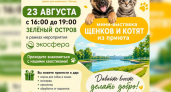 На Зеленом острове пройдет выставка-раздача бездомных животных от липецкого приюта