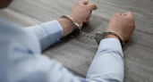 Липецкий предприниматель получил 13 лет за донаты блогеру