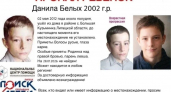 Поисковики продолжают отрабатывать новые данные по делу Данилы Белых