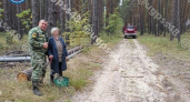 В Чаплыгинском округе спасатели нашли заблудившуюся в лесу 91-летнюю пенсионерку