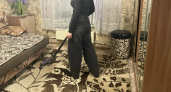 Ковёр чистый за 3 минуты без пылесоса: убираю шерсть и волосы бабушкиным способом