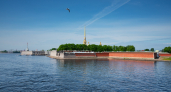 Город стоял на воде, но голодал: историк объяснил, почему блокадный Ленинград не могла спасти рыба