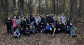 700 липецких школьников проведут осенние каникулы в загородных лагерях