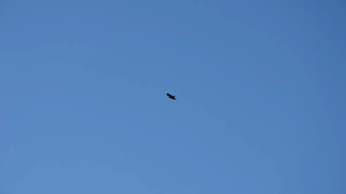 В Ельце беспилотник рухнул у жилого дома, жителей эвакуировали