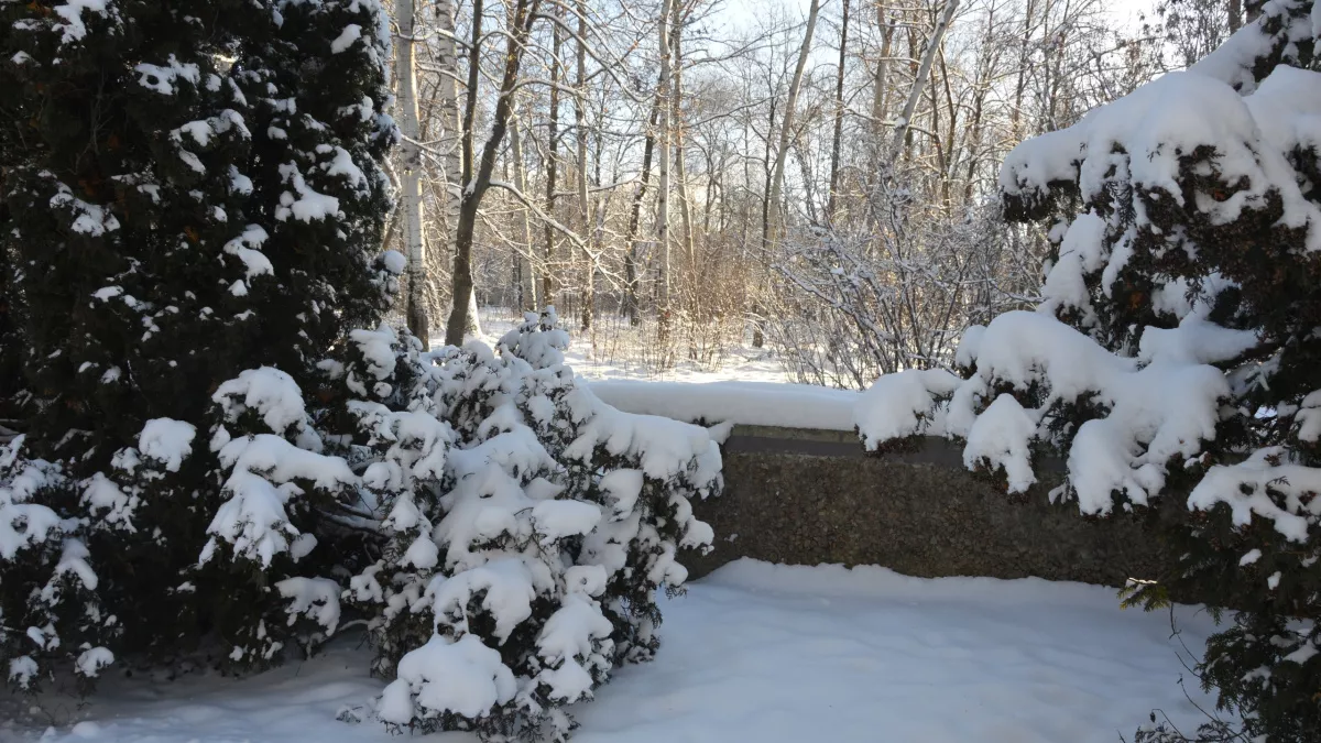 В Ельце началась ликвидация упавшего фрагмента БПЛА