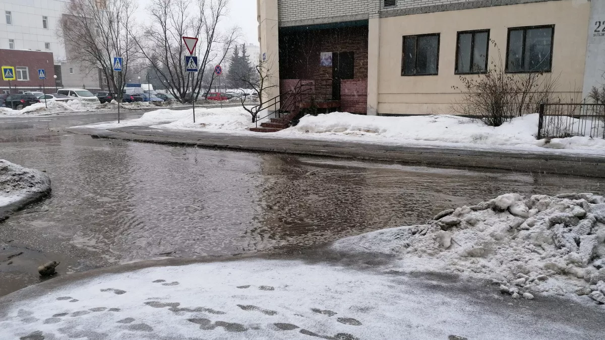 8 марта в Липецкой области ожидается до +5