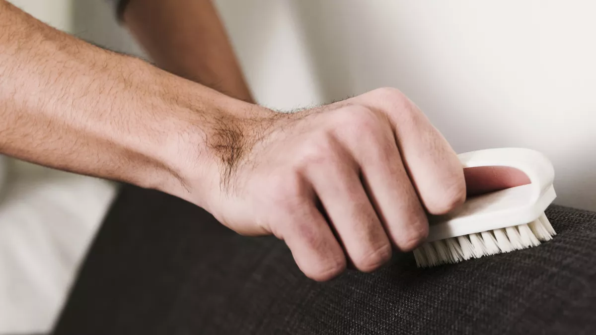 Чищу ковер от шерсти и пыли за 3 минуты без пылесоса — бабушкин способ, переданный по наследству