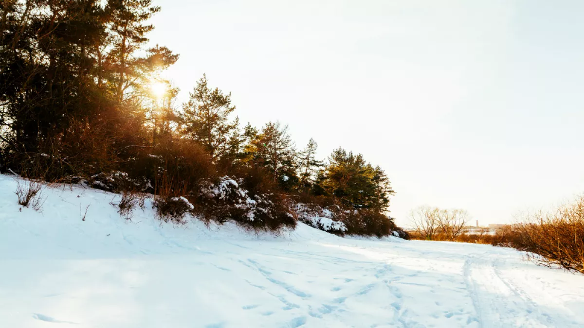 В Липецкой области выпадет снег перед резким потеплением