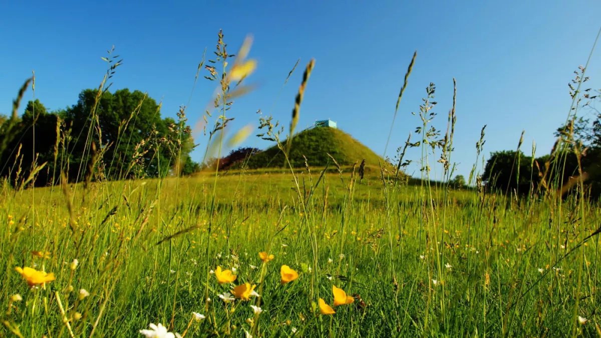 Два древних поселения Липецкой области защитили от застройки в районе