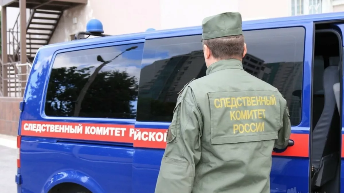 В Грязинском округе молодого липчанина обвиняют в краже и грабеже