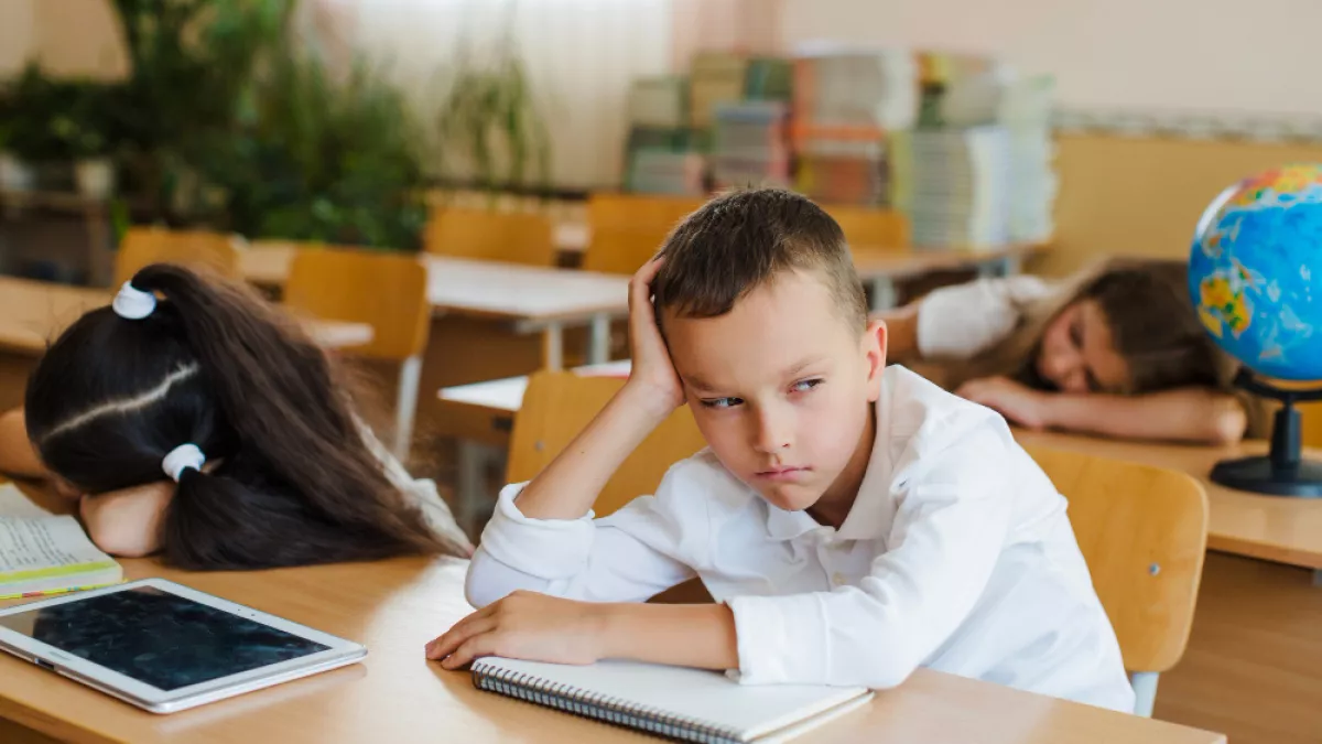 Прокуратура Липецкой области отменила штрафы родителям за плохую учебу школьников