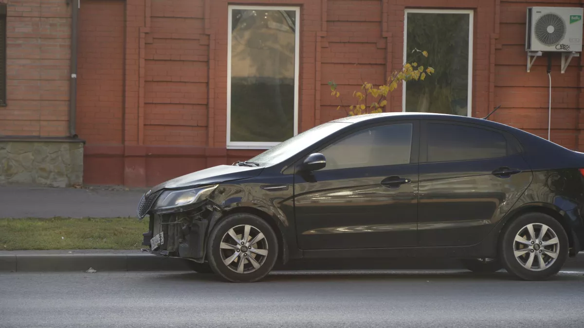 Клещи и тля больше не беспокоят: 20 лет использую этот настой, вредители бегут с дачи как ошпаренные — не нужна никакая химия