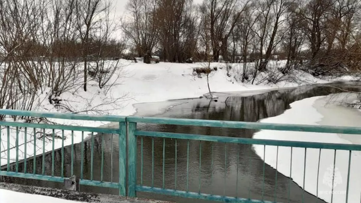 В Липецкой области в зону возможного паводка вошли 6 округов