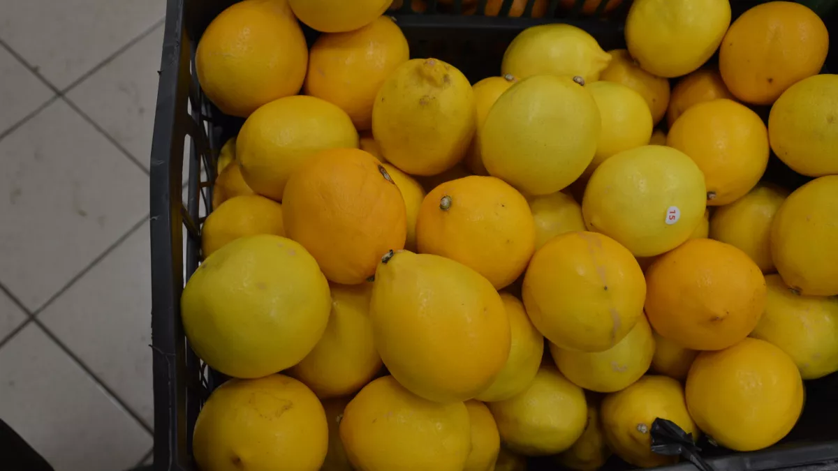 Росконтроль назвал 4 правила выбора лимонов: запомните, чтобы не купить кислятину