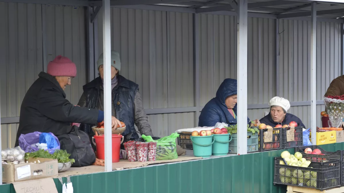 Стаж, который не учитывается при выходе на пенсию: не все годы работы одинаково полезны