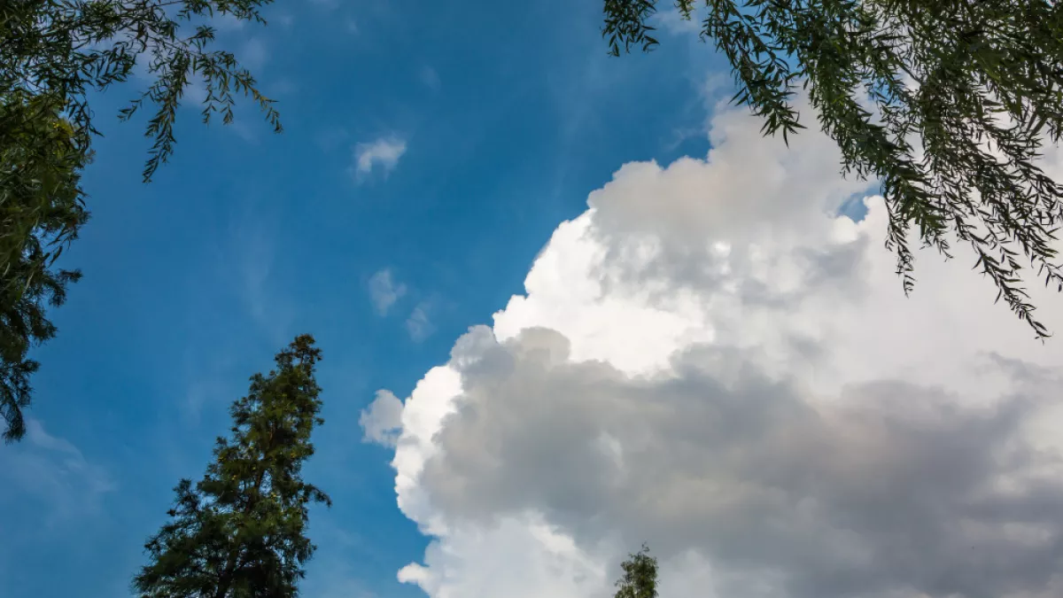 Погода в области резко изменится после выходных