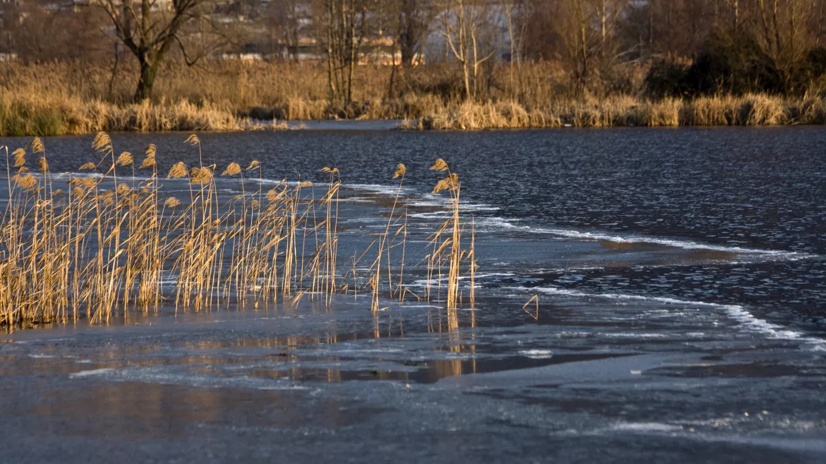 В Воловском округе Липецкой области паводок затопил мост через реку Олым
