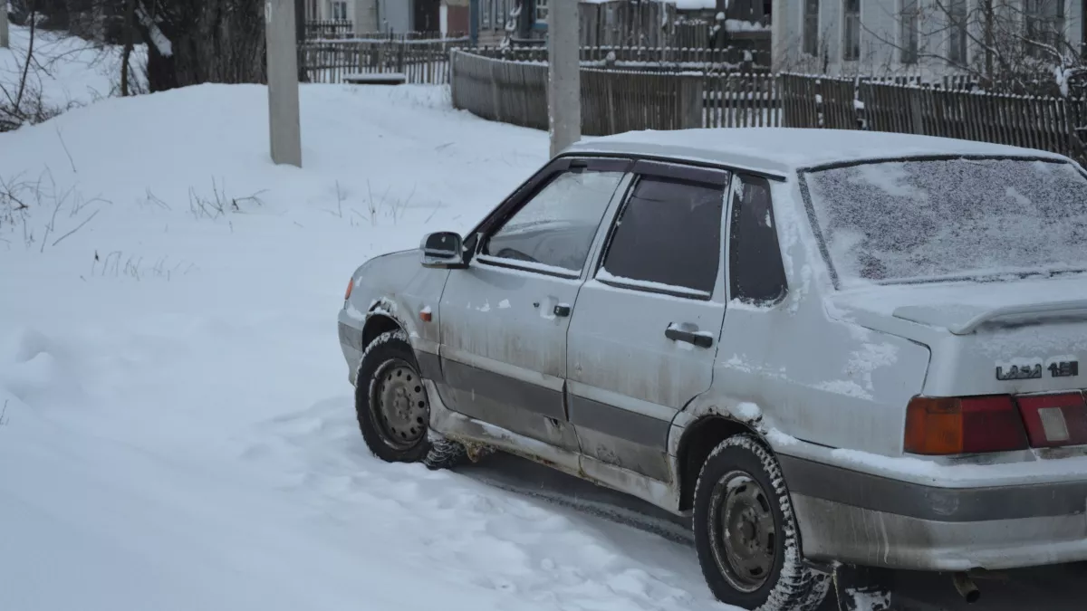 Водителям с категорией "B" выдадут еще одни права без экзамена и очередей