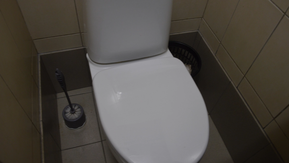 Вот почему японцы садятся на унитаз лицом вперед: неожиданный факт – но логика в этом есть