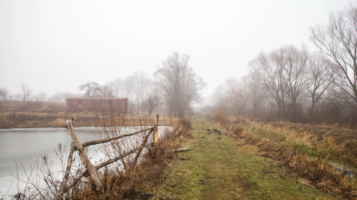 Липчан предупредили о геомагнитном шторме в четверг
