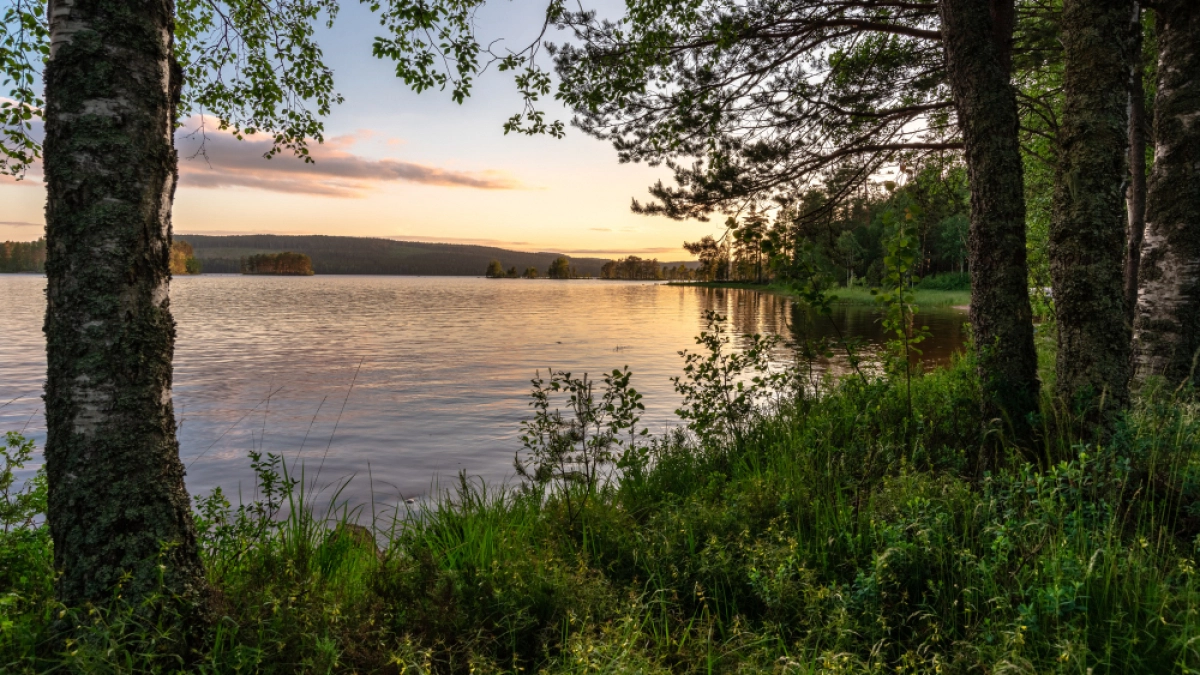 Регион не вошел в список территорий с критическим загрязнением воздуха