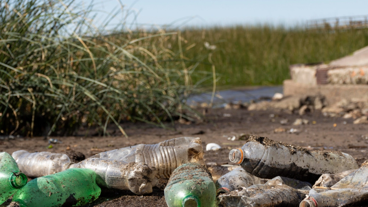 Липчане пожаловались на горы мусора в центре города