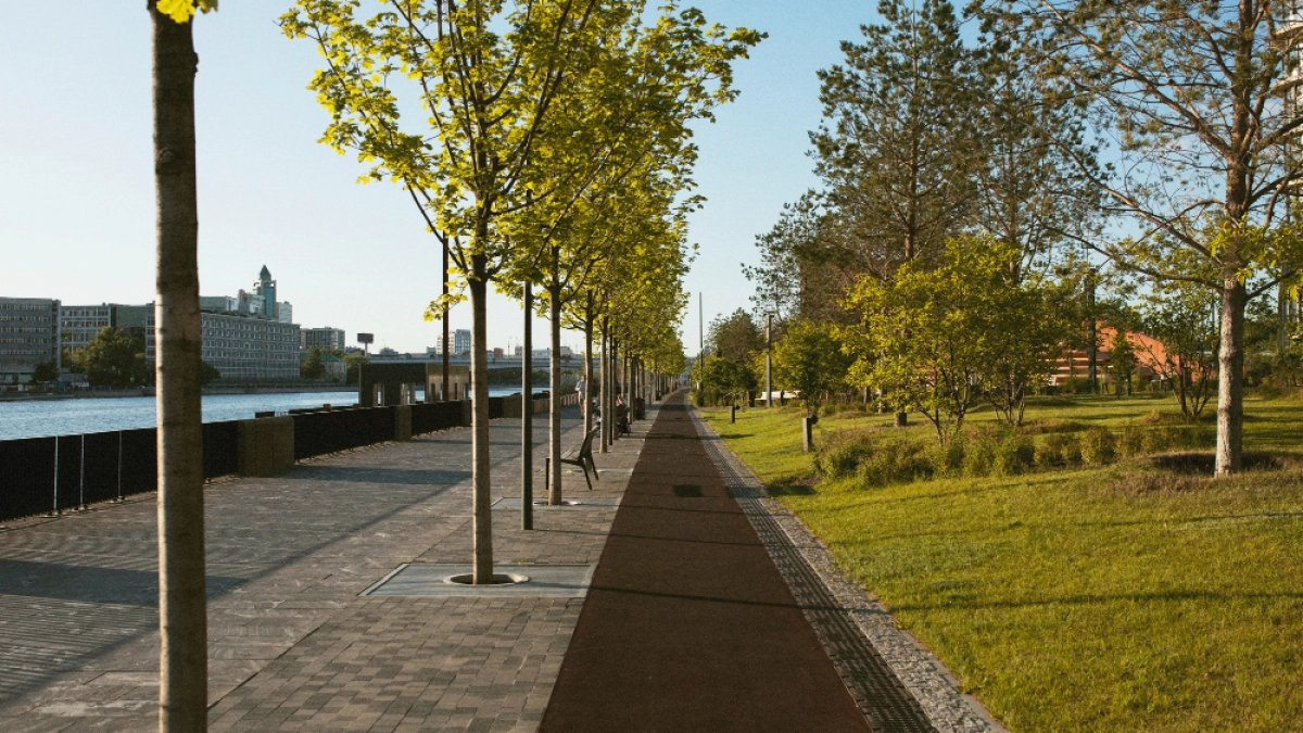 Волонтеры помогут липчанам выбрать парки и скверы для обновления