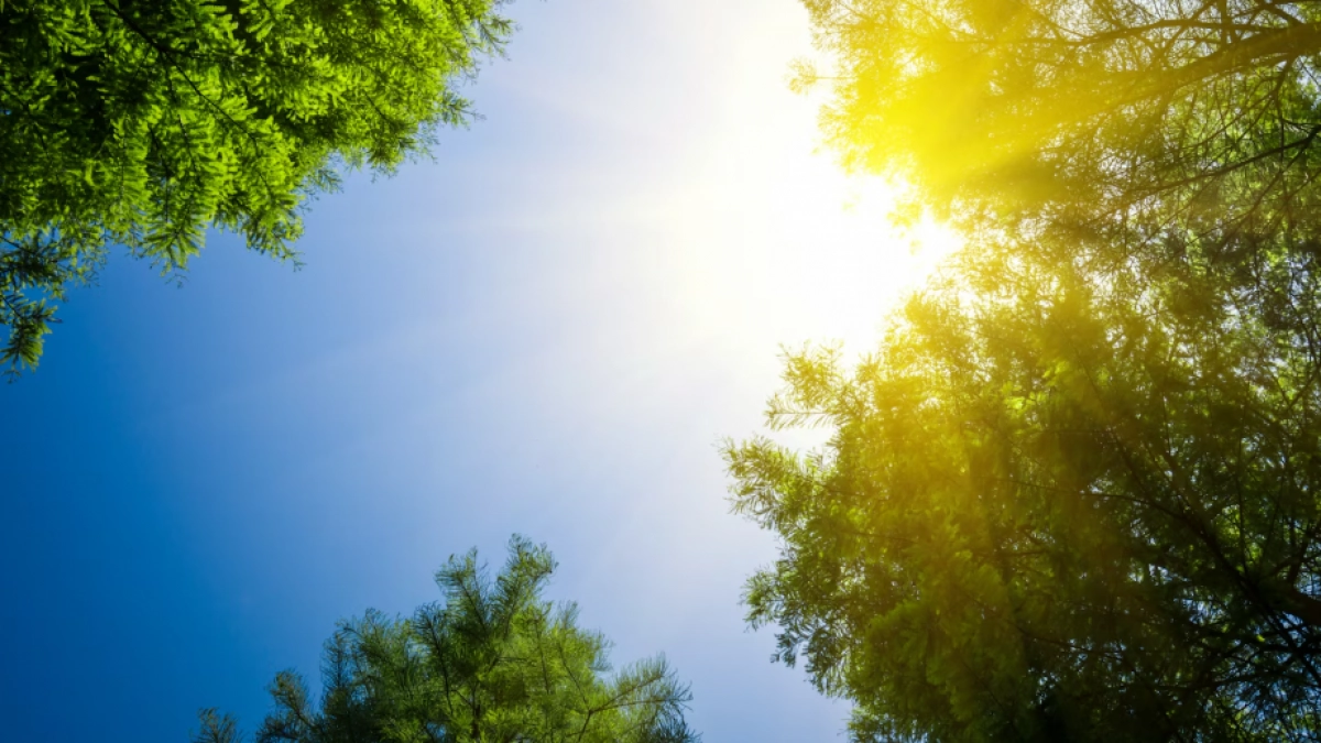 Липецкие экологи зафиксировали резкое падение загрязнения воздуха