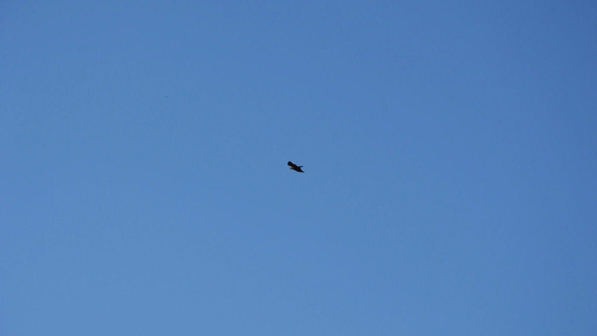 В Липецкой области действует жёлтый уровень воздушной опасности