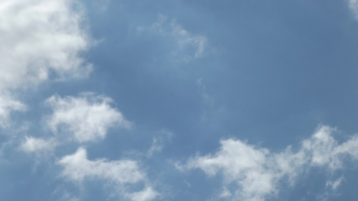 22 марта в Липецкой области ожидается до +9