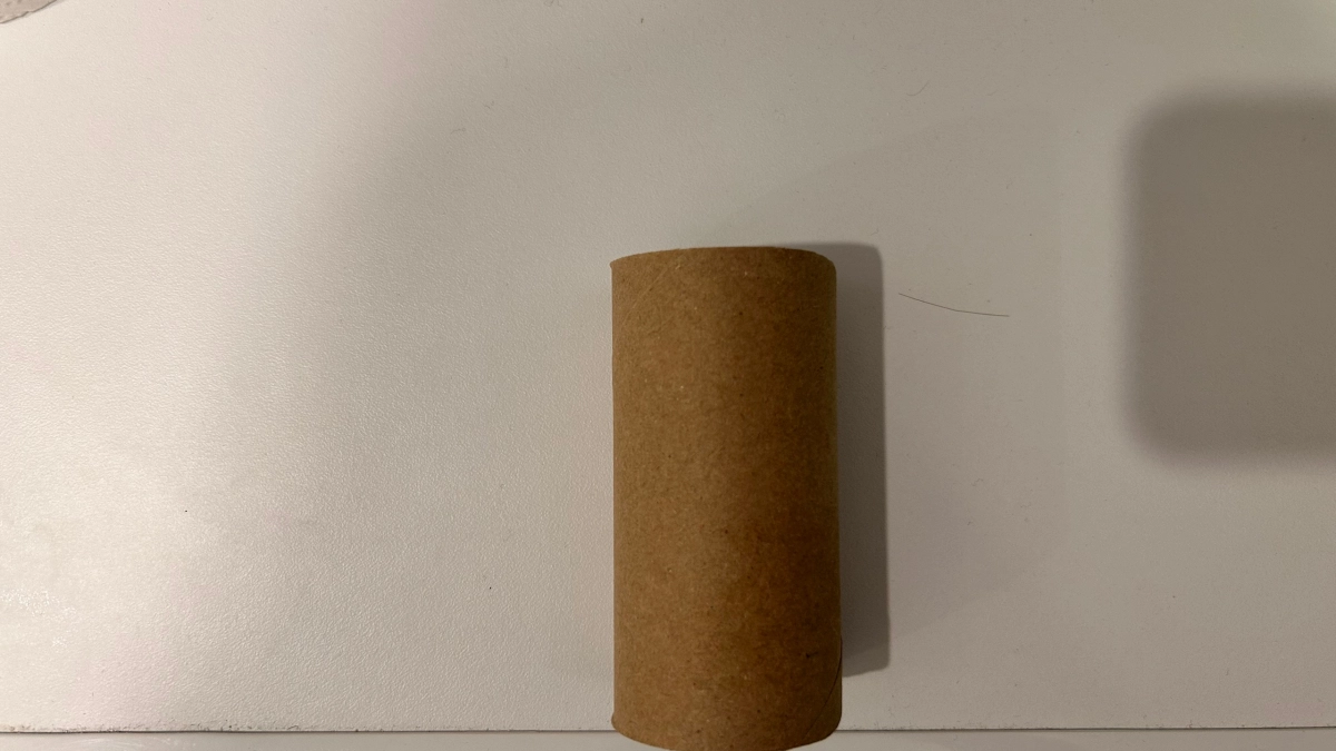 Втулки от туалетной бумаги храню как зеницу ока: вот как их применяю — очень полезная вещь для решения многих проблем