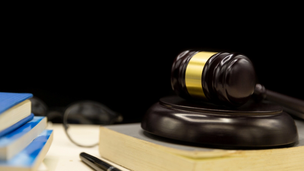 Липецкий суд разбирает конфликт из-за трибун на Зеленом острове