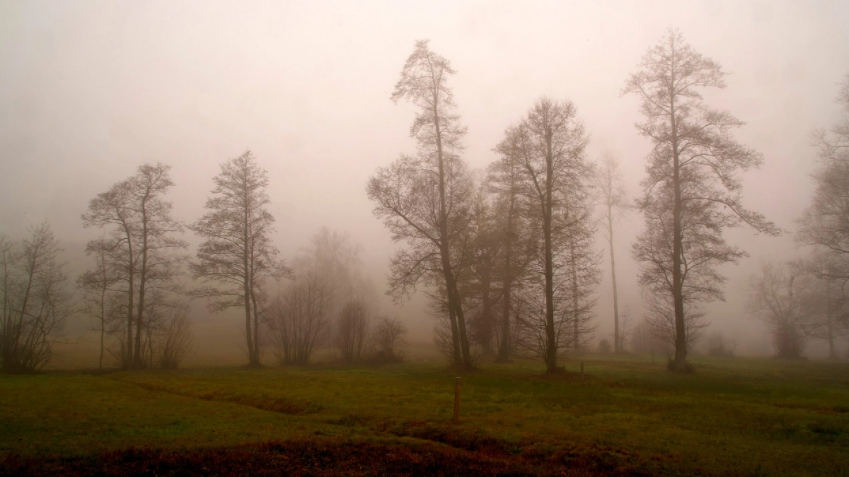 Туман и +9° ждут липчан во вторник