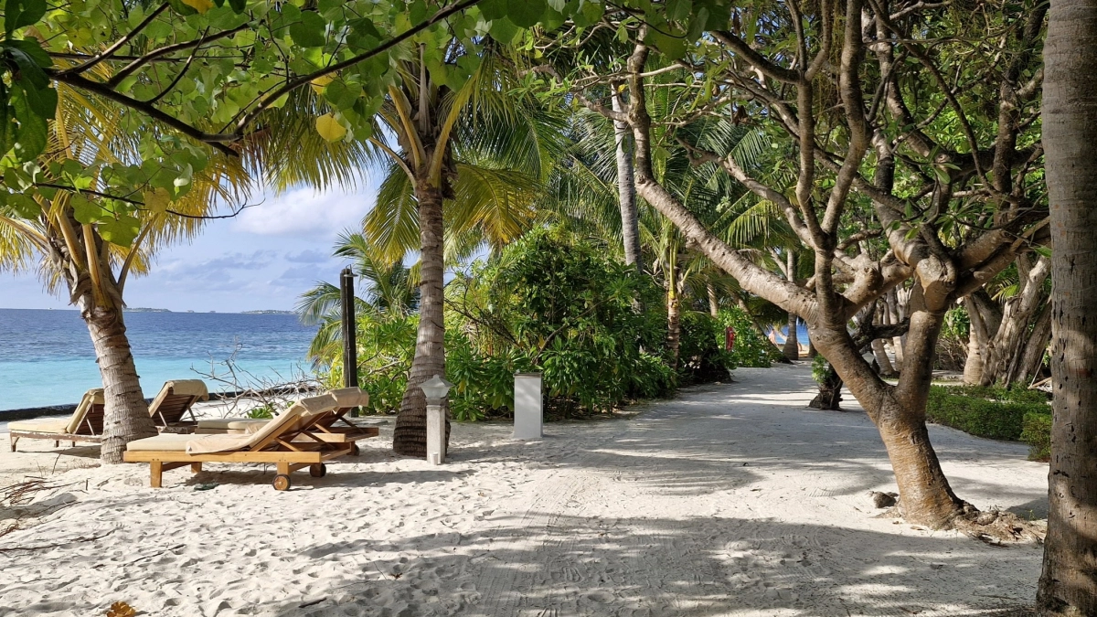 Топ-3 стран, где летний отдых обойдется дешевле турецкого «все включено» - берите на заметку